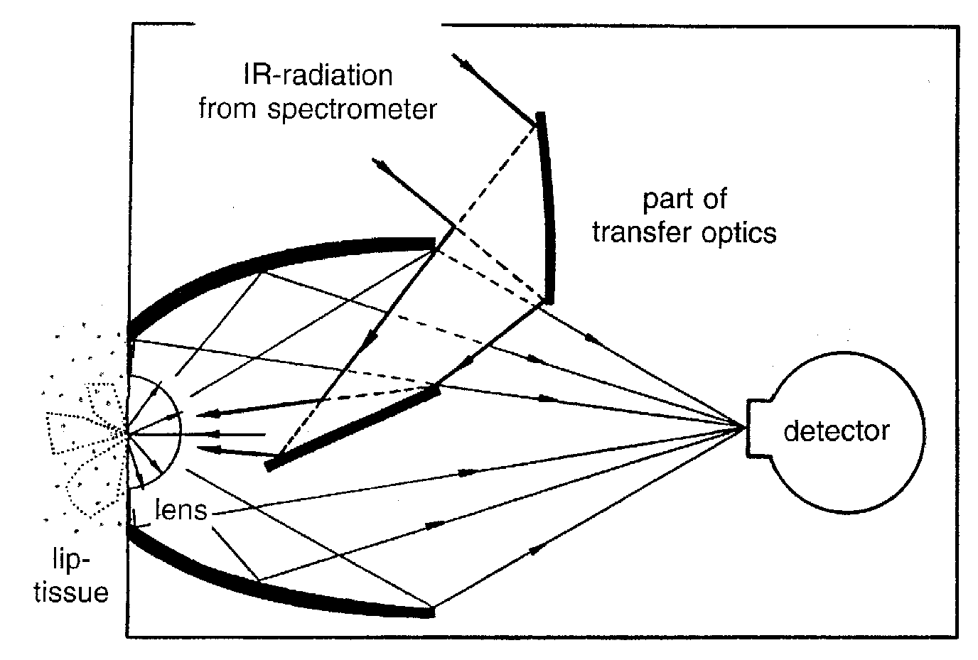 spec4_2.JPG (20274 bytes)